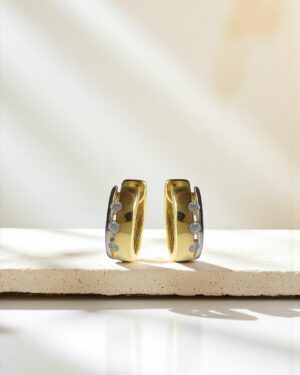 Ar argolla bicolor, Plata 925 105356